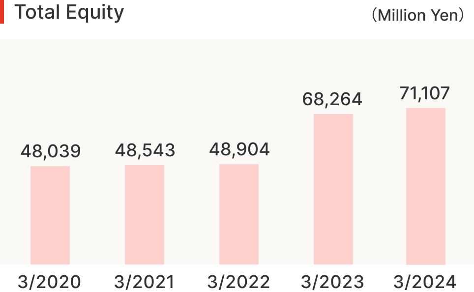 Total Equity