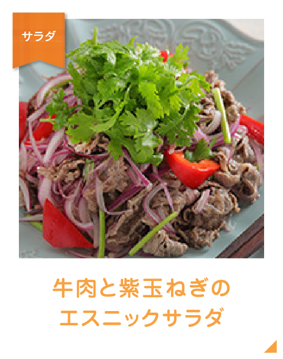 牛肉と紫玉ねぎのエスニックサラダのイメージ