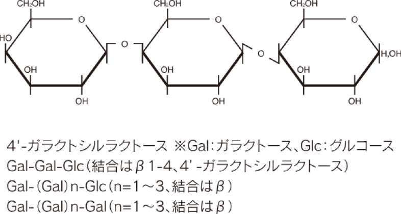 カップオリゴとは
