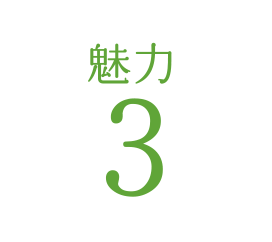 魅力3