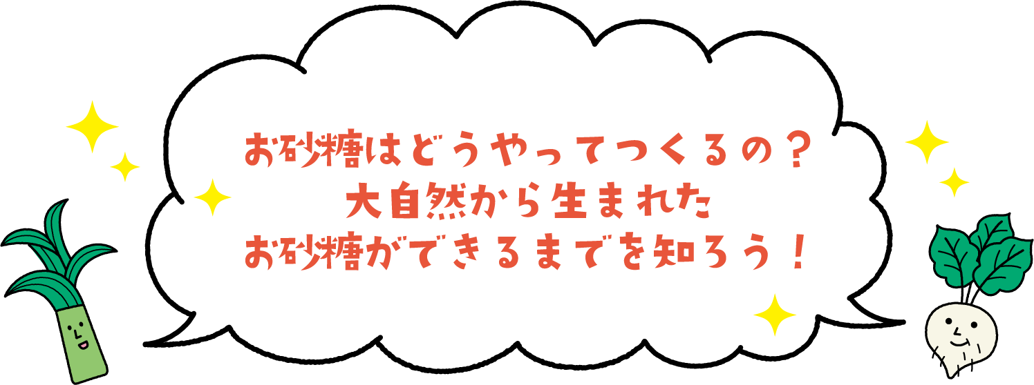 お砂糖はどうやってつくるの？大自然から生まれたお砂糖ができるまでを知ろう！