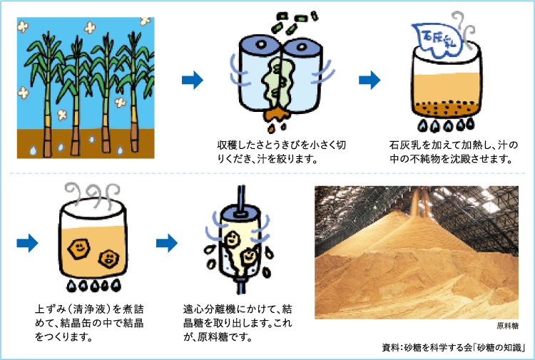 さとうきびから原料糖ができるまで
