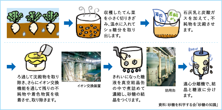 原料糖から精製糖ができるまで