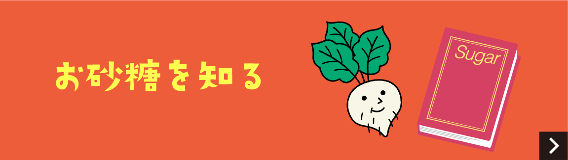 お砂糖を知る