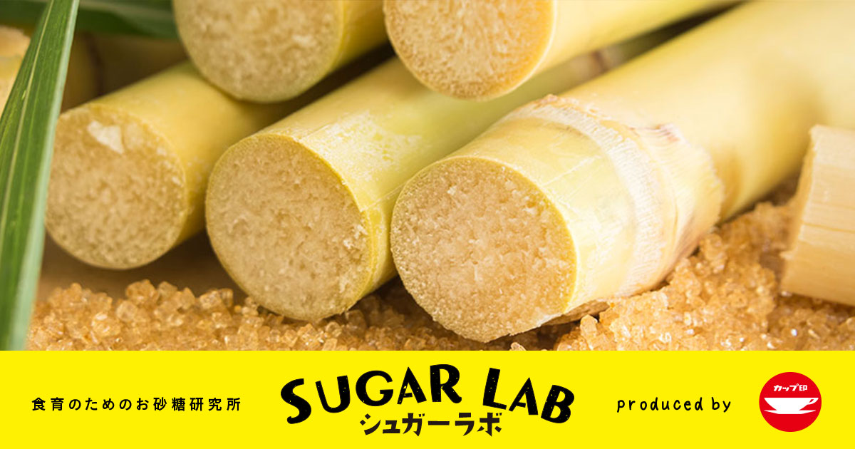 お砂糖ができるまで | お砂糖を知る | SUGAR LAB / シュガーラボ