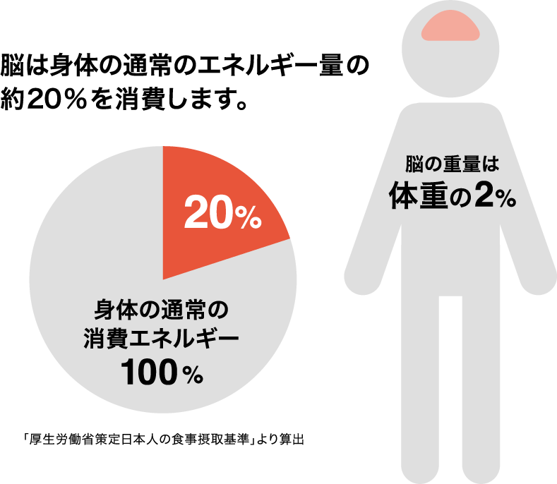 エネルギー消費量